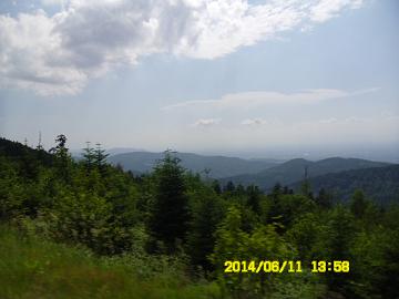 Turkey (95)